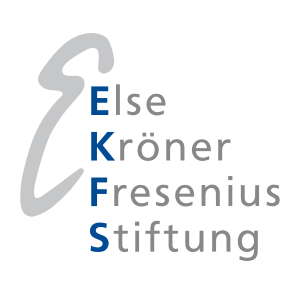 Feature_EKFS
